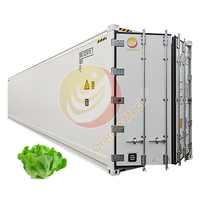 Armoire de culture verticale d'orge de fraises 40 Hq hydroponique, conteneur d'expédition ferme pour laitue