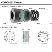 Moteur de cardan BLDC HO10045 24V 48V DD à arbre creux avec encodeur et entraînement intégré pour AGV, AMR et la robotique mobile
