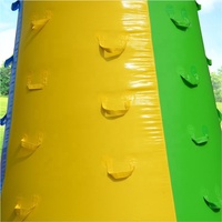 Mur d'Escalade Gonflable Vente Chaude Direct Usine avec Toboggan pour Enfants et Adultes