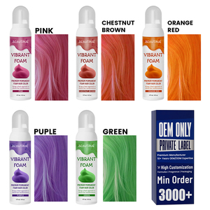 Dịch vụ tạo bọt nhuộm tóc tự nhiên, dưỡng chất, dành cho mọi loại tóc, OEM ODM, với dịch vụ phát triển màu sắc tùy chỉnh và bao bì nhãn hiệu riêng. - Product Image 1