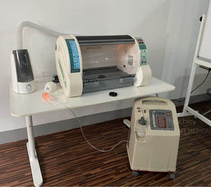 MT inkubator ruang oksigen hiperbarik medis hewan peliharaan dengan oksigen perawatan klinik otomatis dapat disesuaikan terapi oksigen Icu anjing dokter hewan - Product Image 2