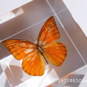 Adorno de Mariposa Acrílica de 8 cm, Rectangular, Decoración Moderna para el Hogar, Regalo - Product Image 3