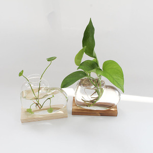 <span class=keywords><strong>Vaso</strong></span> Creativo <span class=keywords><strong>a</strong></span> Forma di <span class=keywords><strong>Cuore</strong></span> in Vetro Borosilicato Trasparente con Base in Legno per Propagazione Idroponica e Decorazione Domestica - Product Image 2