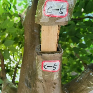 <span class=keywords><strong>Albero</strong></span> di Ficus <span class=keywords><strong>Sempreverde</strong></span> in Fibra di Vetro per Paesaggistica <span class=keywords><strong>da</strong></span> <span class=keywords><strong>Giardino</strong></span>, <span class=keywords><strong>Albero</strong></span> di Banyan Artificiale per Decorazioni Esterne - Product Image 4