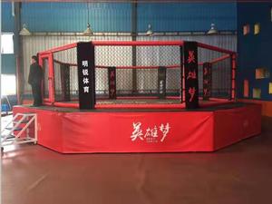 <span class=keywords><strong>Cage</strong></span> octogonale <span class=keywords><strong>MMA</strong></span> à utiliser pour événement, plate forme de 9x9M, avec 1 M surélevé - Product Image 6