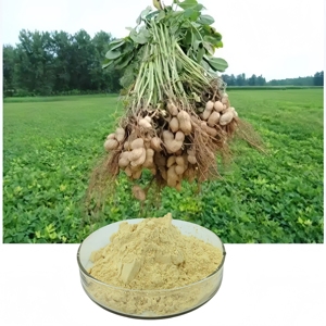 Factory Supply Peanut Shell Extract <strong>Luteolin</strong> 98% - Product Image 3