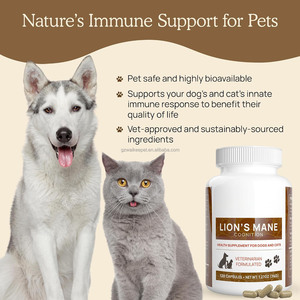 Champignon Crinière <span class=keywords><strong>de</strong></span> <span class=keywords><strong>Lion</strong></span> pour Chiens et Chats – Soutien Cognitif et Bien-être – 120 Capsules – Booster Naturel pour la Santé Cérébrale – Complément Alimentaire Naturel pour Animaux <span class=keywords><strong>de</strong></span> Compagnie - Product Image 4