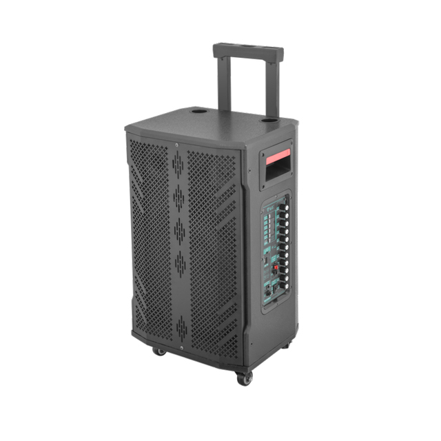 Diamond Audio-Outdoor Party Speaker for Adults, with AUX, TF ,FM, TWS, EQ, ECHO