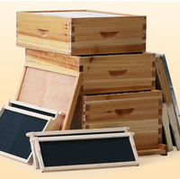 Super Beehive 10 marcos 8 marcos Bee Hive Boxes Equipo de apicultura de madera ecológico