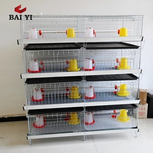 <span class=keywords><strong>Vente</strong></span> flash Nouvelle cage à poulets de type H pour élevage avicole avec système d'abreuvement automatique Capacité de 120 poussins pour les poussins d'un <span class=keywords><strong>jour</strong></span> - Product Image 2
