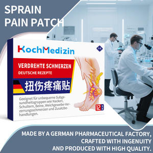 Réduire les ecchymoses Soulager la douleur Entorse Activation du sang Soulagement de la douleur Médecine traditionnelle chinoise Patch naturel pour une utilisation à long terme - Product Image 4