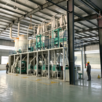 Ligne de production de farine de blé 50TPD, projet clé en main pour usine de meunerie automatique
