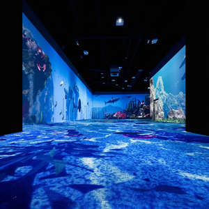 P4.81 P6 Écran LED de piste de danse polychrome pour scène Concert Centre commercial et magasin de détail Utilisation intérieure/extérieure Luminosité 4000cd - Product Image 1