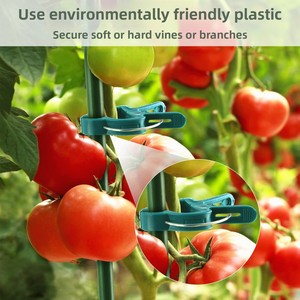 10 Clips de Jardinería de PP, Clip de Soporte para Plantas con Resorte para Tomate y <span class=keywords><strong>Phalaenopsis</strong></span>, Herramienta Reutilizable para Jardín de Balcón o Terraza - Product Image 1