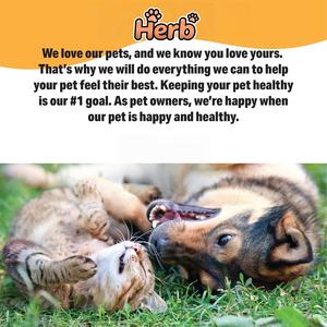 Manufacturer Natural Organic Pet Hip Aid Liquid Drops <b>Dog</b> Hip and Joint Supplements for <b>Dogs</b> Healthy Cartilage With <b>Glucosamine</b> - Product Image 4