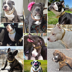 Guinzaglio per Cani di Lusso in Pelle con Catena Cubana in Acciaio Inox Dorato, Personalizzabile con Logo - Product Image 6