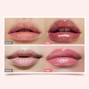 Custom Deeply Repair Damaged <strong>Lips</strong> <strong>Lip</strong> <strong>Gloss</strong> Oem Tinted Care Makeup Waterproof 6 Colorlip Balm - Product Image 5