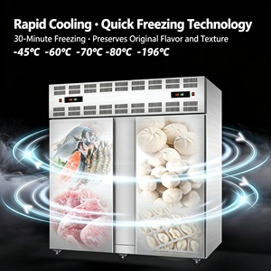 Congelador Horizontal Compacto, <span class=keywords><strong>Mini</strong></span> Congelador Rápido -45-0C, Ahorro de Energía, Ahorra Espacio para Diseño de Cocina de Pequeños Restaurantes - Product Image 3