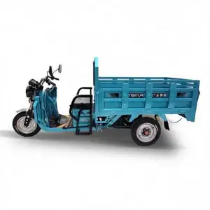 Good Price 24V Electric Tricycle Recubment Trike For The Public