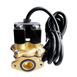 Parallel electromagnetic pilot control valve YB-65 fuel solenoid valve Stainless steel magnetic material