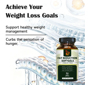 Gélules de réduction de graisse OEM ODM avec extrait de Garcinia pour une gestion saine du poids, favorisant l'équilibre digestif et le bien-être intestinal - Product Image 5