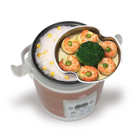 Cuisinière à riz électrique universelle 12-24V 3L, pot de cuisson portable pour voiture avec minuterie et fonction maintien au chaud pour SUV, camion, camping-car, camping