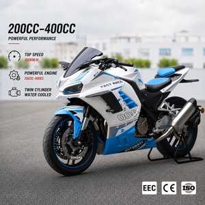 SINSKI Factory Wholesale 200cc 400cc Gasoline Racing Motorcycle Low Price Adult Sport Street Bike - Product Image 1