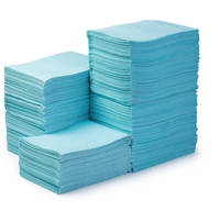 Bavettes Dentaires Jetables avec Endos Imperméable en PE pour Cliniques Dentaires et Hôpitaux, Serviettes Absorbantes Douces pour Plateau