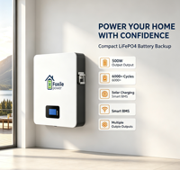 Batterie murale de stockage d'énergie solaire domestique LiFePO4 51,2 V 100 Ah 5,12 kWh avec BMS intégré et connexion parallèle évolutif