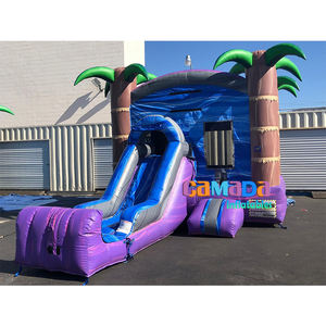 Venta caliente comercial palmera inflable rebote Combo tobogán castillo hinchable en venta casa de rebote tobogán de agua Combo - Product Image 1
