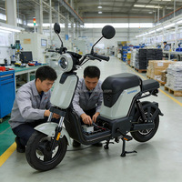 Scooter électrique sans balais à batterie lithium 48V 800W pour adultes avec deux sièges et pédales, vélo de ville