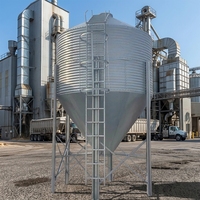 Nuovo Silo per Mangimi Hanzhichen per Allevamenti di Suini e Polli, Attrezzatura Personalizzata per Bestiame con 2 Anni di Garanzia