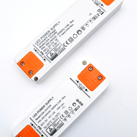 Mini conducteur de lumière de bande de LED 12V 24V DC 24W 12W transformateur d'éclairage LED étanche armoires d'alimentation à sortie unique
