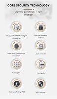 Serrure intelligente à empreintes digitales haute sécurité, étanche, connexion via l'application Tuya, clé, mot de passe, carte pour portes en bois ou en acier