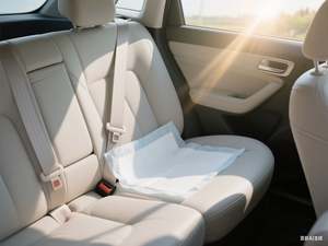 แผ่นรองซับปัสสาวะสำหรับแมวและสุนัข อุปกรณ์เฉพาะทางสำหรับการฝึกฟื้นฟูสมรรถภาพที่มีการเคลื่อนไหวจำกัด ปรับแต่งได้ - Product Image 4