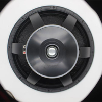 Haut-parleur de scène professionnel pour DJ avec aimant en néodyme et corps métallique, amplificateur de puissance 220W