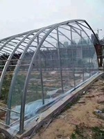 Serres agricoles et tunnels de culture en film plastique, serres à tomates à structure métallique à vendre