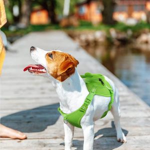 Fashion Cat Dog Travel Bag Toy Training Trolley <b>Pets</b>' Backpacks Harness Walking Dog Food Packaging Bag <b>Pet</b> <b>Carrier</b> Backpack - Product Image 2