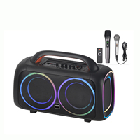 Altavoz Karaoke Inalámbrico Portátil NDR-Q66 con Doble Controlador, Altavoz Estéreo con Bajos Profundos, Woofer HIFI, Luces LED, Altavoces Activos para Fiestas y DJ