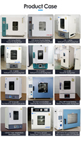 Four de séchage sous vide antidéflagrant en acier inoxydable à chauffage électrique Laboao avec affichage LCD et contrôle PID à double colonne