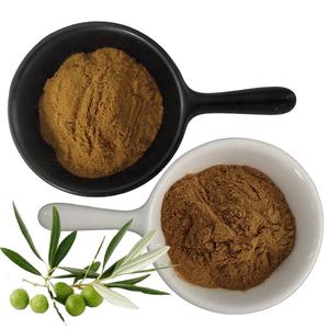 Fabrika kaynağı fondöten zeytin yaprağı özü hidroksitirosol ücretsiz örnek zeytin yaprağı özü - Product Image 2