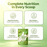 Matcha Proteïne Smoothie Poeder 20g Proteïne Maaltijdvervangende Shake Huidgezondheid voor Fitness OEM ODM Groothandel Aangepaste Private Label