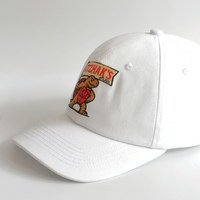 Casquette unisexe de sport non structurée réglable en jean imprimé animal avec broderie 3D, ajustée, pour l'extérieur, style hip-hop, tendance