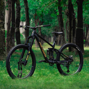 Vélo de montagne à suspension intégrale Fasterwork Soft Tail Dh Bike Shinamo 11 vitesses en aluminium 27,5 29 pouces - Product Image 4