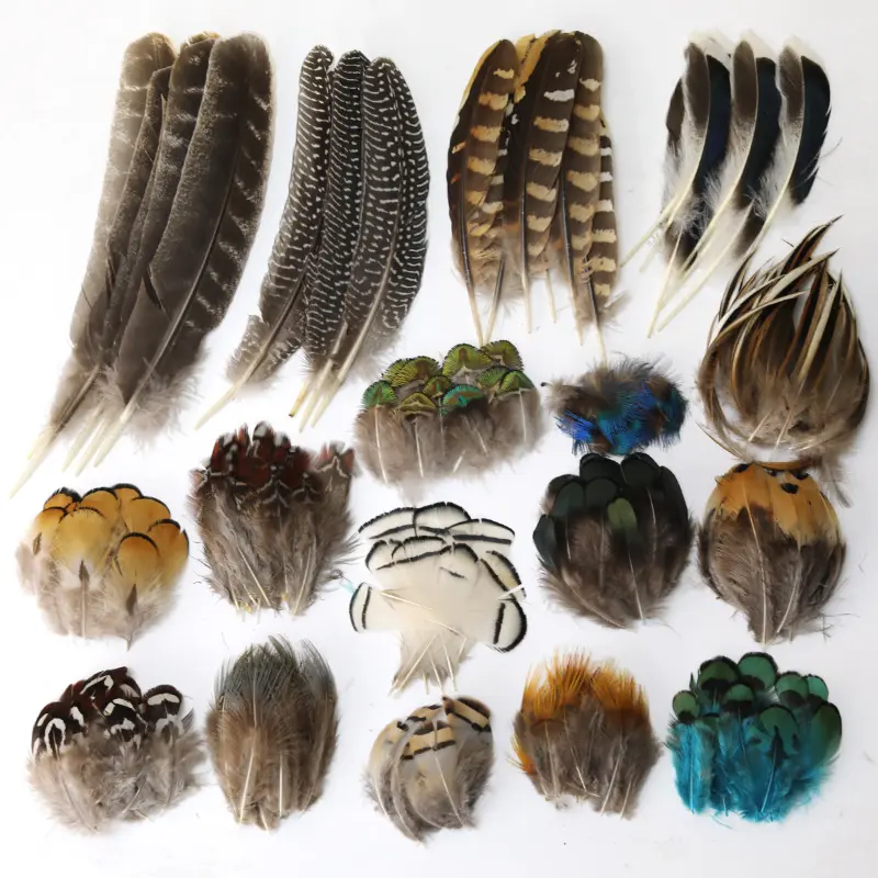 Natural colorful wild chicken feather Pheasant duck feathers for DIY garment craft accessories
