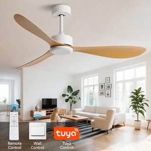 Quạt trần 3 cánh 42 inch điều khiển từ xa, biến tần, chất liệu ABS, bán trực tiếp từ nhà máy - Product Image 2