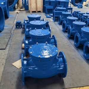 Vanne anti-retour à flange unidirectionnelle DI, type oscillant, avec joint EPDM/NBR/PTFE, sans fuite, DN150 DN250 – Offre spéciale Irak - Product Image 4