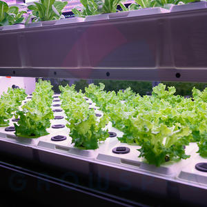 กล่องปลูกผักไฮโดรโปนิกอัจฉริยะ | ตู้เกษตรกรรมในร่มระบบอัตโนมัติสำหรับผักใบเขียว - Product Image 5