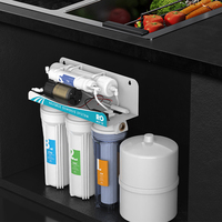 Purificateur d'eau de comptoir à osmose inverse 5 étapes, réduction du TDS, amélioration du goût, pour chambre et cuisine