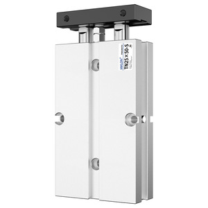 TN25X50-S Twin Shaft Cylinder Pneumatic Component Dual Rod Slim Design Industrial Use - Product Image 1